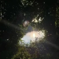 tác giả bị lười