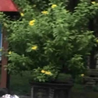 all top (trừ ai thì trừ)