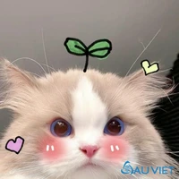 tui là t/g của các bẹn