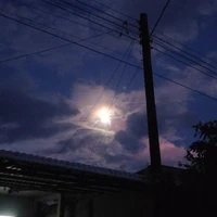 Nhân vật phụ
