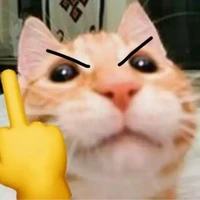 ???