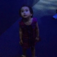 T/g kute hột me phô mai que