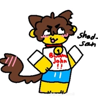 shedletsky