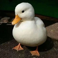 Sell