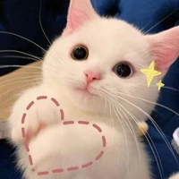 Tui (tác giả)