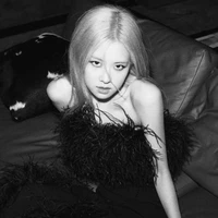 Park Chaeyoung