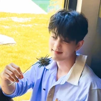 Tác Giả