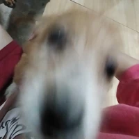 Tôi...