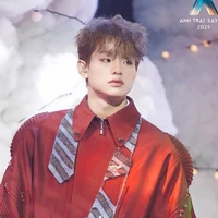 Bùi Trường Linh/Buitruonglinh