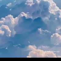 hội đồng phép thuật