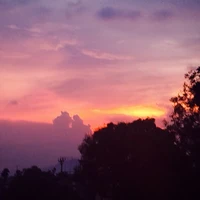 Tác giả đói H++