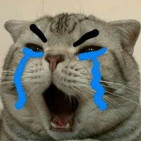 t/g mê ngược