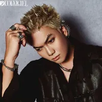 Trần Tất Vũ. | Big Daddy.⁹¹