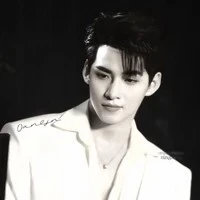 HUỲNH HOÀNG HÙNG (GEMINI)