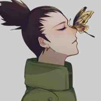 Shikamaru Nara