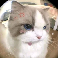 Von (thằng tác giả)