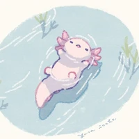 The Miracle (hệ thống)