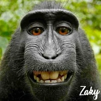 Liễu Như Yên-🍵