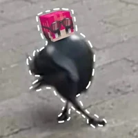 Hiha Crow
