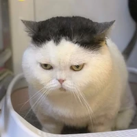 Nhóm của Timeo[Hải NamxCongxBình Bè]