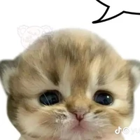t/g