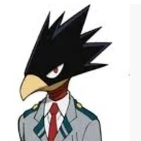 Tokogami Fumikage