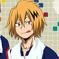 kaminari denki