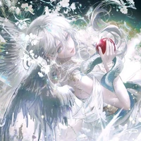 Marjane - hệ thống