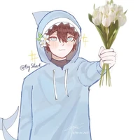 Bigshark