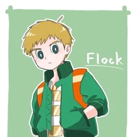 Flock