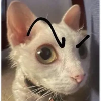 Hai thằng báo ( Xiyi, Aiden)