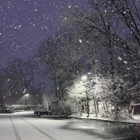 linh anh(tác giả)