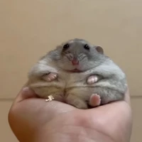 Hamster kawaii ✨