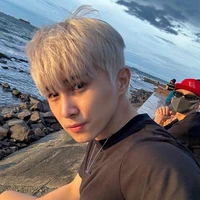 Lê Hồng Sơn