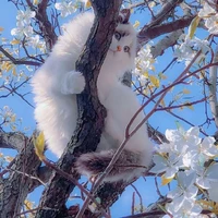 Hệ thống 051-Beee