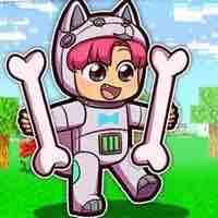 Hiha_Shiba Robot