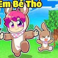 Hiha_Thỏ