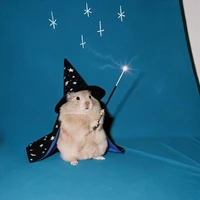 Con Ham-sì-tơ quyền năng✨💃