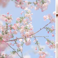 Quốc vương Hitlite