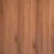 All cả lớp