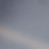 All bọn họ (nữ) 