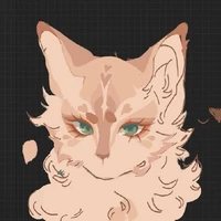 Hệ thống/ Cotton