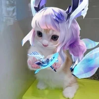 nusu[hệ thống chủ]