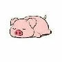 Là Heo đây🐷