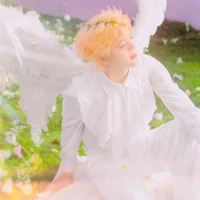 Nguyễn Quang Anh_Thiên tử