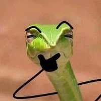 cô giáo chủ nhiệm