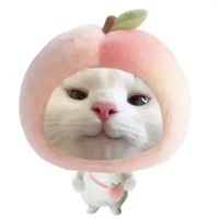 °t/g mèo đào 🍑°