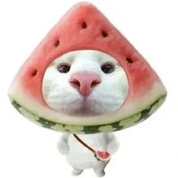 °Miumiu( cốt t/g)°