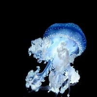 All Mọi Người Cần Trừ Ai Thì Trừ.