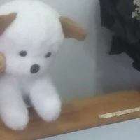tg hay ngủ 😴